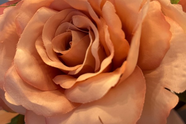 Hope in God's promises beyond the pain of Grief